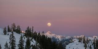 Cette première pleine lune de l'année 2021, aussi appelée « pleine lune du loup », se lèvera le jeudi 28 janvier dans le signe du lion. Astro Quels Sont Les Effets De La Pleine Lune De Janvier 2021