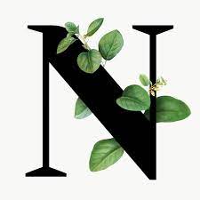 Download Premium Png Of Botanical Capital Letter N Transparent Png 584828 Harfleme Afis Sablon Logo Tasarimi