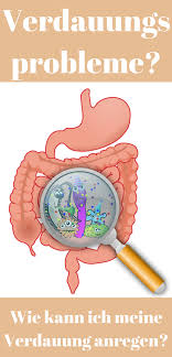 Verdauungsprobleme Vermeiden Indem Man Den Darm Unterstutzt Eine Gute Darmflora Zu Behalten Sich Optimal Zu Entwickeln Darmflora Darmreinigung Darmgesundheit