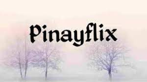 Pinyflix