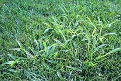 Image result