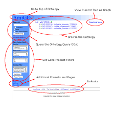 Amigo Users Guide