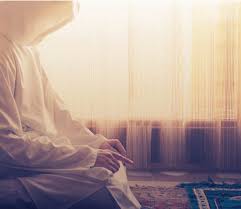 دع hp تبحث عن منتجاتي. Ø£Ø¨ÙŠ ÙŠØ­ÙˆÙ… Ø±Ù…Ø² ØµÙˆØ± Ø¨Ù†Ø§Øª Ø³Ø¬Ø§Ø¯Ù‡ Ù„Ù„Ù‡ Horsehairmemorypots Com