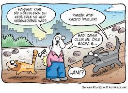 kediler kopekler karikatur kedi komik