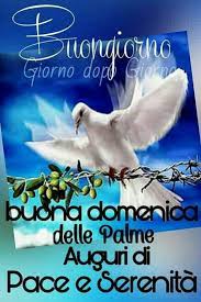 La domenica delle palme vede l'ingresso trionfale di gesù a gerusalemme, salutato vistosamente dalla popolazione, che agitava foglie di palma. Buona Domenica Delle Palme Immagini Pinterest 49 Happy Palm Sunday Palm Sunday Quotes Good Morning