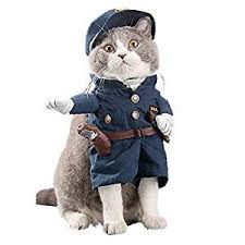Gifts For Everyone Archives Page 30 Of 53 Ichoosegift Com In 2020 Cat Halloween Costume Funny Pet Costumes Pet Halloween Costumes