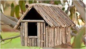 We can build something better than this no more living in a house made of sticks they can huff, puff, try all they want but they won't bring us down. Making Bird Houses With Unused Material At Home Deep Jungle Home