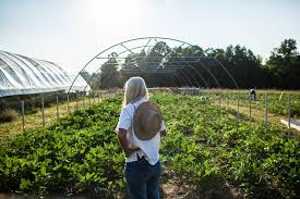 Southeastern Snapshots