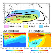 キュウビソフトウェアエンジニアリング author hyakueda matsuki scenario matsuki hyakueda / izumi kazusa illustration 水名月こう work format : æ°—è±¡åº æµ·æ´‹å†…éƒ¨ã®çŸ¥è­˜ åŒ—å¤ªå¹³æ´‹äºœç†±å¸¯å¾ªç'°ã®æµ·æµã¨æ°´å¡Š