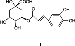 Image result for Cryptolepis hypoglauca