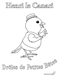 Coloriages Des Droles De Petites Betes Henri Le Canari Droles De Petites Betes Coloriage Drole