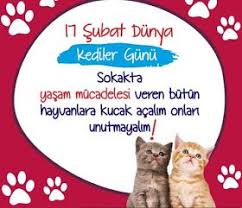 Hayko Sazanyan Onlin Dunya Kedi Gunu 2020 Kedi Hayvan Kedi Kopek