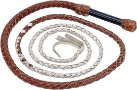 How To Braid A Whip Ehow Com Diy Leather Whip Leather Whip Leather Diy