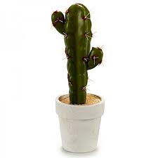 Quiero que sean al marc. Maceta Cactus Grande