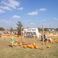 If you're looking for a variety of pumpkins and squash to choose from, then this is your spot. Flower Mound Pumpkin Patch 5100 Cross Timbers Rd