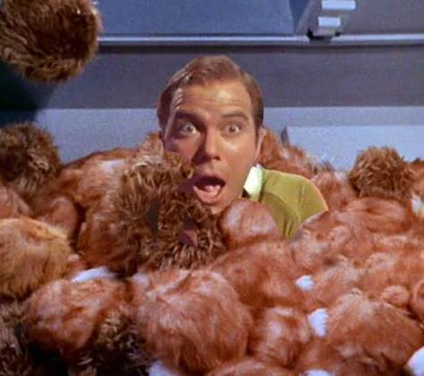 Discover 13 Tribbles and captain kirk tribbles ideas | tribble star trek, tribbles star trek, star trek tribbles and more