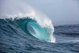 Contact — Joyce Camden, LCSW, LLC