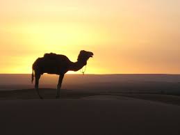 Element of arabian for mobile concept and web apps icon. Page 3 Royalty Free Morocco Photos Free Download Pxfuel