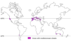 Akdeniz iklimlerinin bağcılık üzerindeki etkisi için, bkz. Iklim Mediterranean Wikipedia Bahasa Melayu Ensiklopedia Bebas