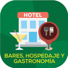 El pasaporte sanitario del viajero libre de coronavirus es clave para recuperar el turismo tras la crisis por coronavirus. Pasaporte Sanitario Digital