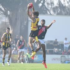 St Kilda young gun Lance Collard shines in the VFL