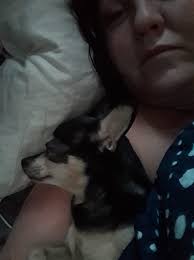 Coping with loss of a pet