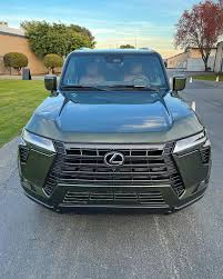 Image result for Nori Green 2023 LC