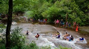 Maybe you would like to learn more about one of these? Pisgah Forest Nc Vacation Rentals Cabin Rentals More Vrbo