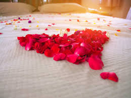 We did not find results for: Why Is The Indian Wedding Bed Decorated With Red Roses The Times Of India