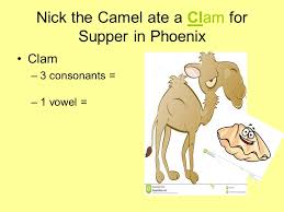 Help remembering the name of polyatomic ions using a nick the camel ate a clam supper in phoenix. Unit 1 Chemistry Basics 1 1 Polyatomic Ions Taking Notes In Ap Chem I Will Give You A Print Out Of The Slides This Is Exactly How It Will Go In College Ppt Download