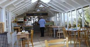 pin on cafe cornwall