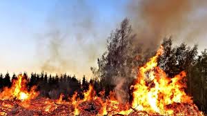 As condições extremas provocaram um fenômeno raro no sábado: TornadÄƒ De Foc In Australia Pompierii Se LuptÄƒ Cu Peste 140 De Incendii De VegetaÅ£ie