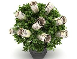 Add small ornaments that match the wedding colors or theme to make the tree a more suitable decoration. How To Make A Money Tree For A Party Lovetoknow Induced Info