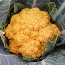 Genial Pic Potager Chou Fleur Style Chou Fleur Cheddar F1 Cauliflower Les Arbres C Est En 2020 Chou Fleur Cauliflower Chou Brocoli
