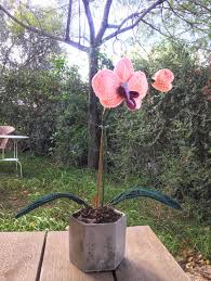 Light Pink Single Handmade Crocheted Orchid In White Concrete Planter Unique Items Products Orchids Concrete Planters
