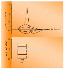 pin by chemistry on الحيوية chart line chart diagram
