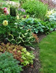 Three Dogs In A Garden A Garden Over Twenty Years In The Making Part 1 The Colors Textures And Placement Shade Garden Design Front Garden Landscape Plants