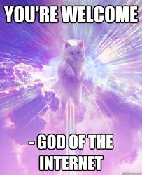 Image result for welcome to the internet meme