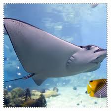 Maybe you would like to learn more about one of these? La Kelnet Microfasertuch Aqua Rochen