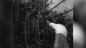 April Fools Day Pranks And Ideas Best Jokes To Play On Family During Lockdown Express Co Uk