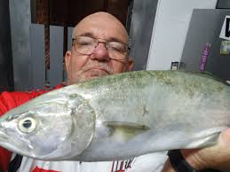 Hi guys introducing myself.