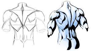 This is a great learning tool. How To Draw And Shadow The Back Muscles Youtube Drawing Male Anatomy Art Reference Poses Guy Drawing