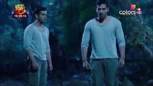 Image result for naagin 2 Drashiv