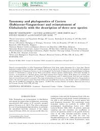 Image result for Rytigynia monantha