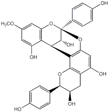 Image result for Cassipourea gummiflua