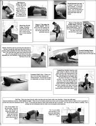 Pregnancy Yoga Jacobson Chiropractic