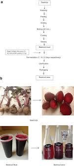 As you can see from the above, these processes are all a bit fiddly and honestly, are probably not worth the trouble. Physico Chemical Properties Of Beetroot Beta Vulgaris L Wine Produced At Varying Fermentation Days Sciencedirect