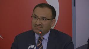 100 Freer Stock Videos, Footage, & 4K Video Clips