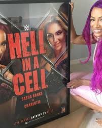 Sasha Banks Toes Sasha Bank The Cell Women S Wrestling