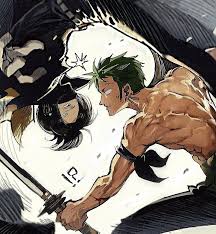 zoro vs stealth black ゾロワンピース ワンピース 面白い ゾロ サンジ